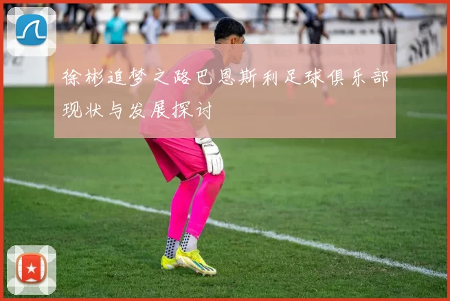 徐彬追梦之路巴恩斯利足球俱乐部现状与发展探讨